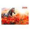 Квартальний календар на 2026 рік "Крізь маки. В акварельному стилі" К068 - 2
