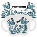 Чашка Для зілля «Приворотне зілля»