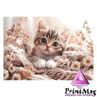 Квартальний календар на 2026 рік "Миле кошенятко" К015