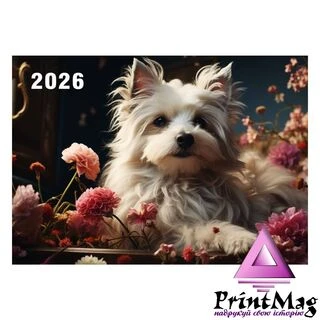 Квартальний календар на 2026 рік "Йорк у квітах" К034