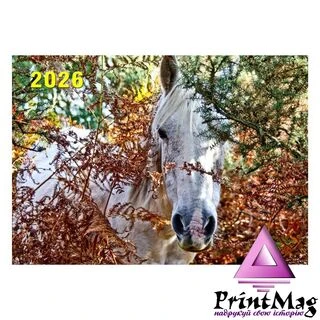 Квартальний календар на 2026 рік "Білий кінь. Символ року" К069