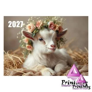 Квартальний календар на 2027р "Мілашка"